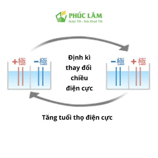 điện phân cực của máy grace