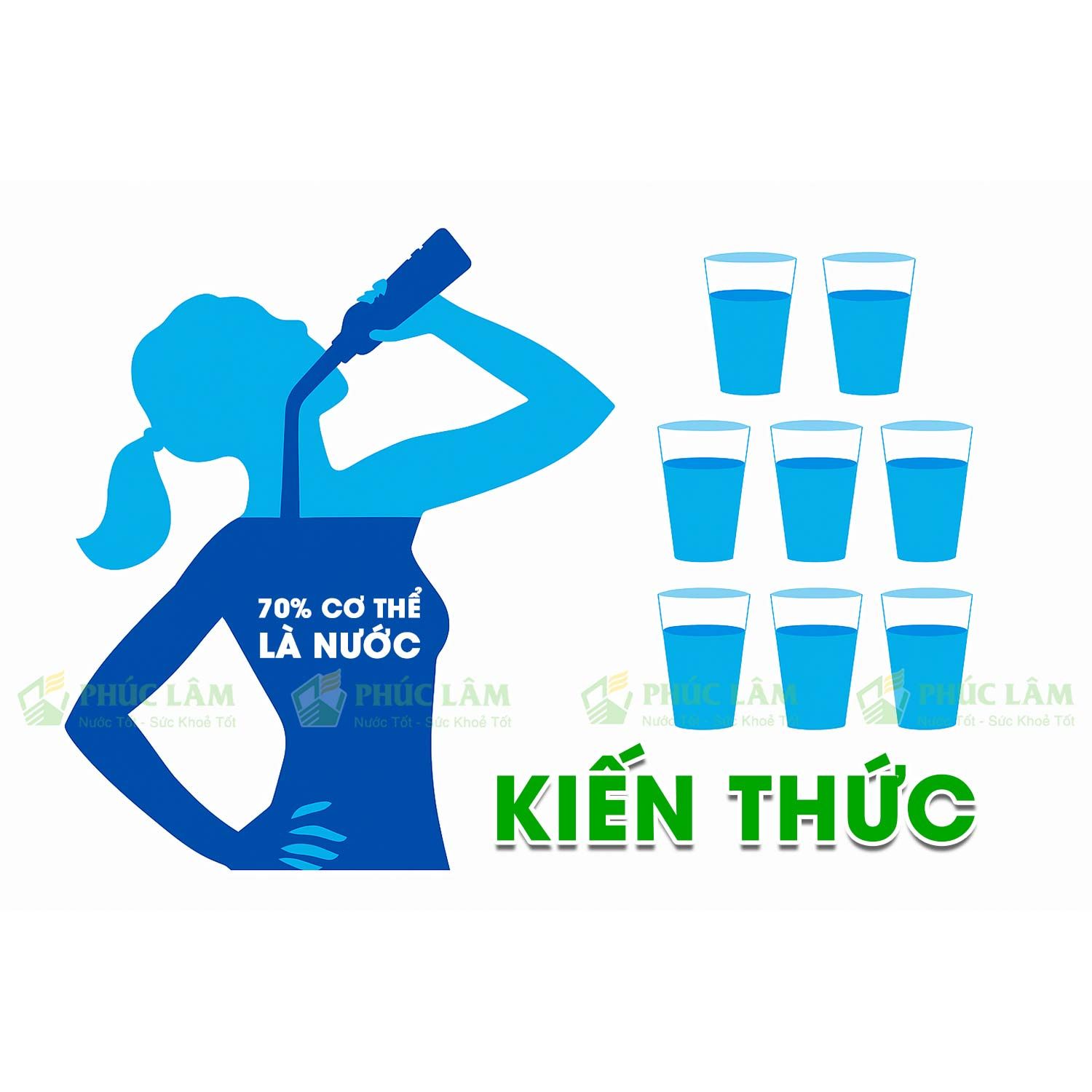 kiến thức từ Phúc Lâm