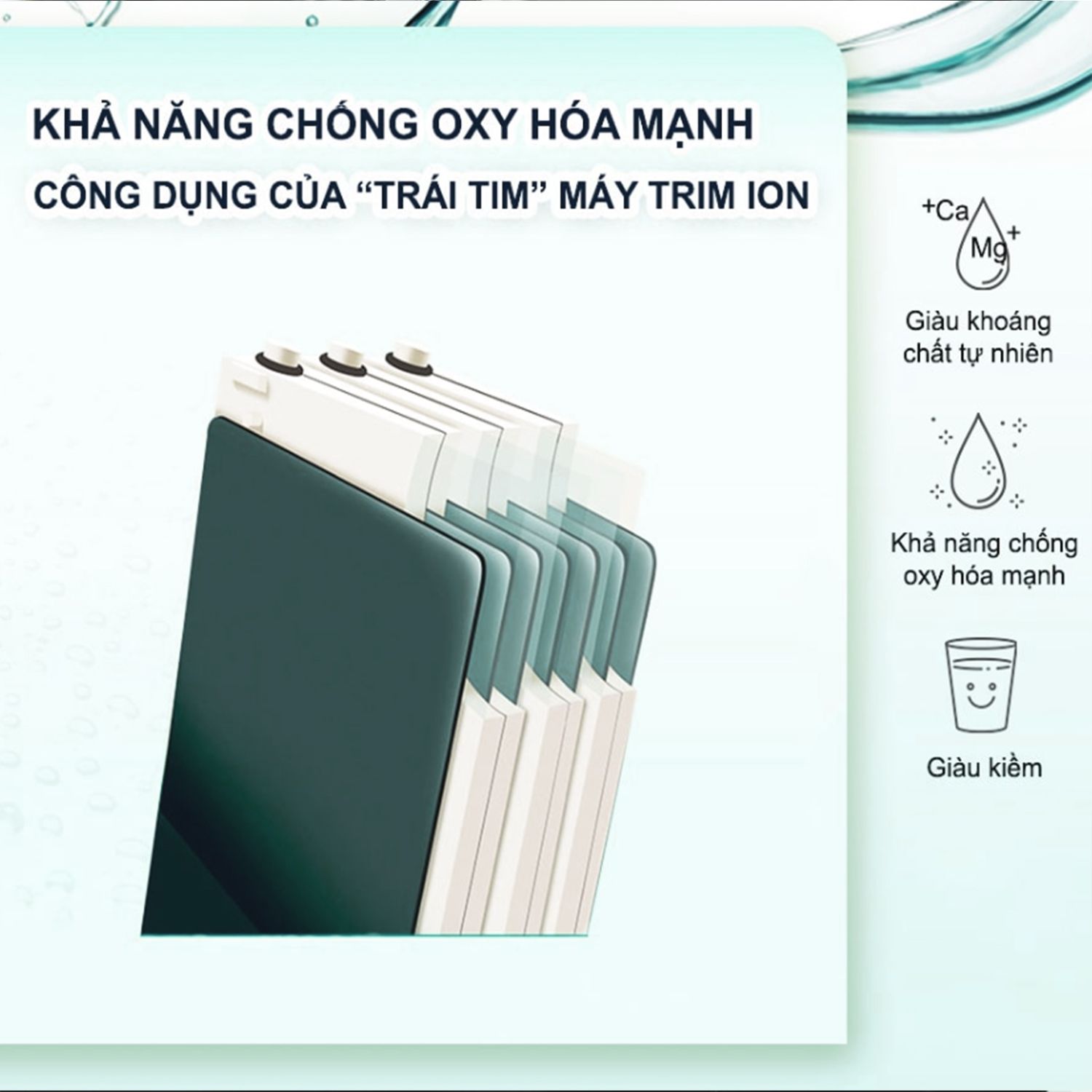 tấm điện cực trim ion grace